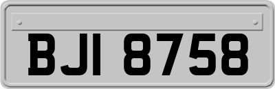BJI8758