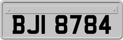BJI8784
