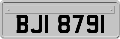 BJI8791
