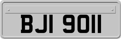 BJI9011