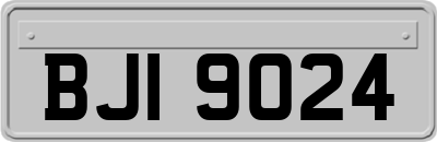 BJI9024