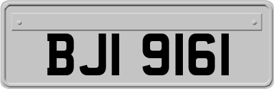 BJI9161