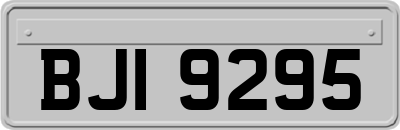 BJI9295