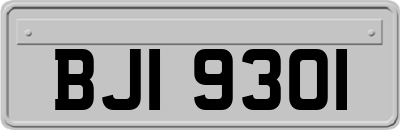 BJI9301