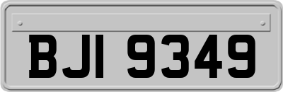 BJI9349