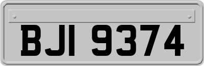 BJI9374