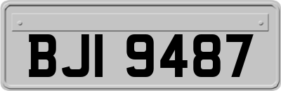 BJI9487