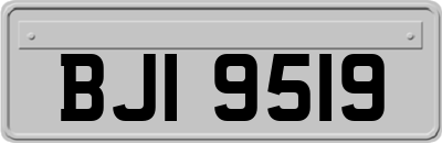 BJI9519