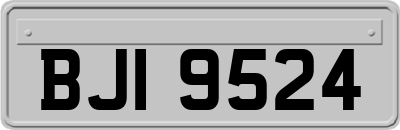 BJI9524