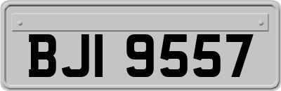 BJI9557