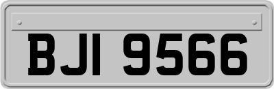 BJI9566