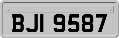 BJI9587