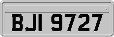 BJI9727
