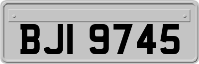 BJI9745
