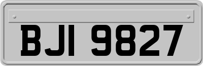 BJI9827
