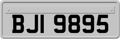 BJI9895