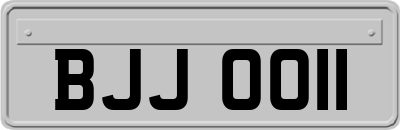 BJJ0011