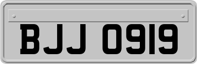 BJJ0919