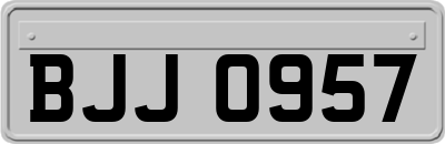 BJJ0957