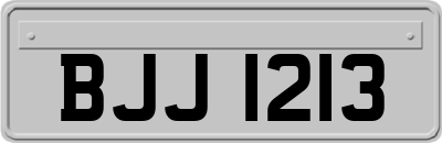 BJJ1213