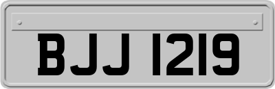 BJJ1219