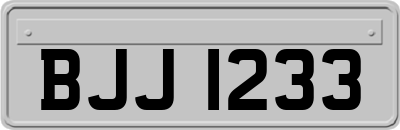 BJJ1233