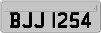 BJJ1254