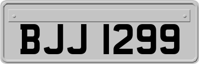 BJJ1299