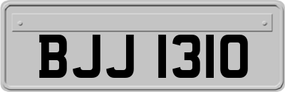 BJJ1310