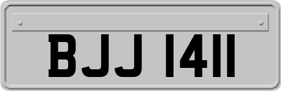 BJJ1411