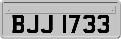 BJJ1733