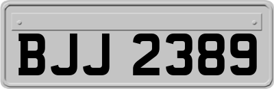 BJJ2389