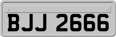 BJJ2666