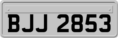 BJJ2853