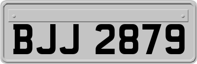 BJJ2879