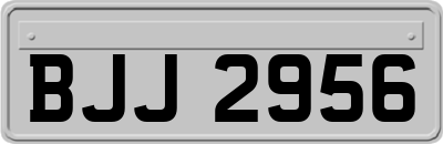 BJJ2956