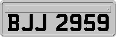 BJJ2959