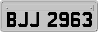 BJJ2963