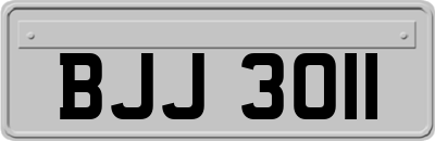 BJJ3011