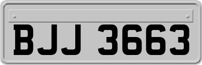 BJJ3663