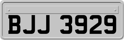 BJJ3929