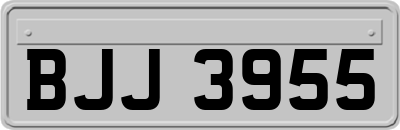BJJ3955
