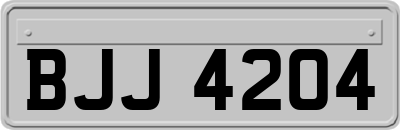 BJJ4204