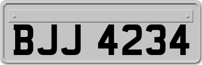 BJJ4234