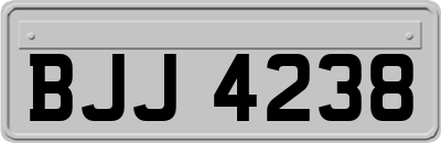 BJJ4238