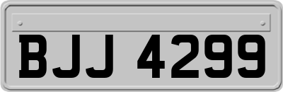 BJJ4299
