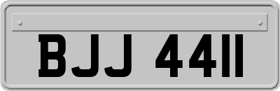 BJJ4411
