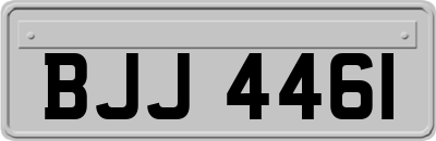 BJJ4461