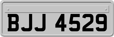 BJJ4529