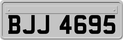 BJJ4695